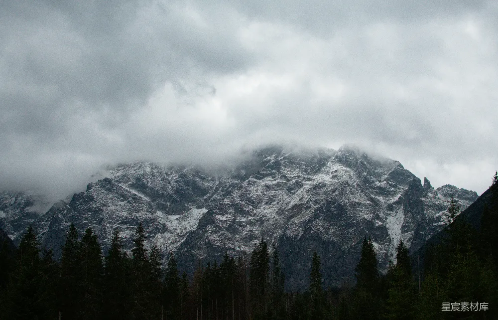 高清摄影  覆盖着积雪的山峰，周围环绕着树木。