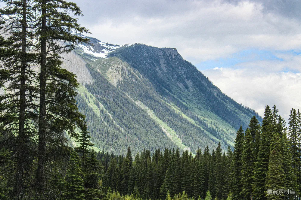 高清摄影  一片草地上有树木，背景中有一座山。