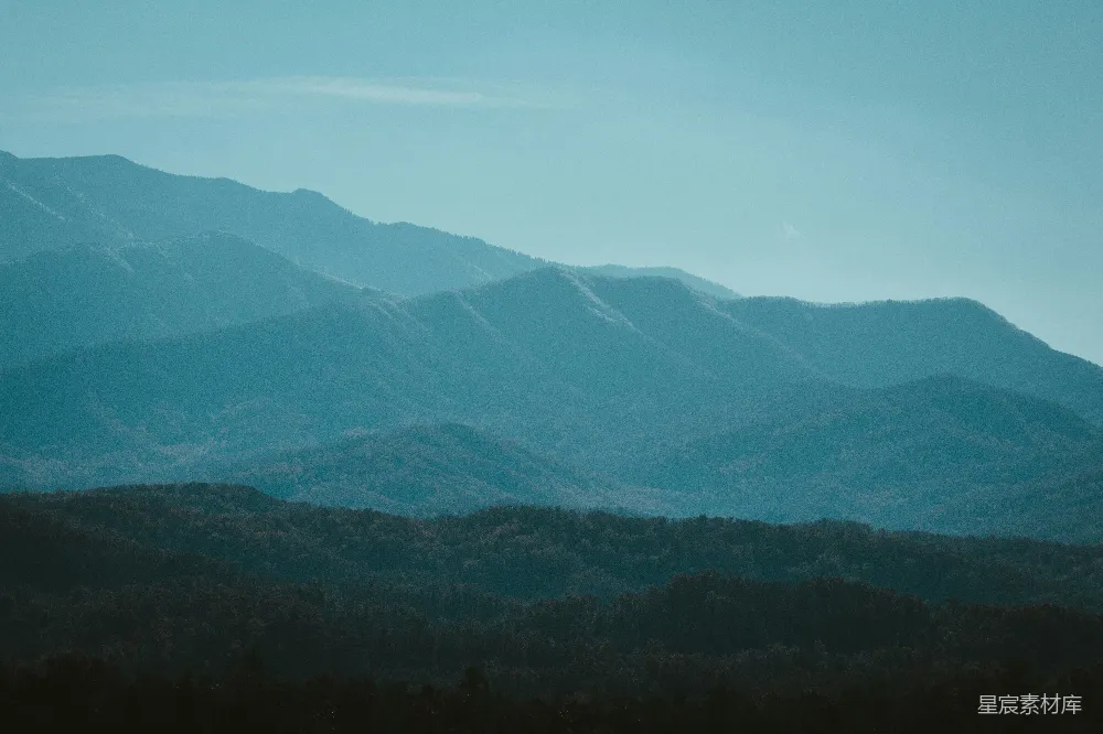高清摄影 自然 一座山脉的远景，前景中有树木。
