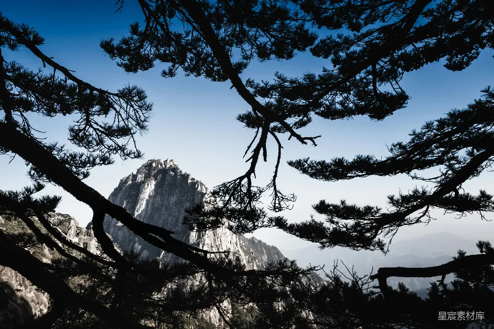 高清摄影  山景被剪影般的树枝所框定。