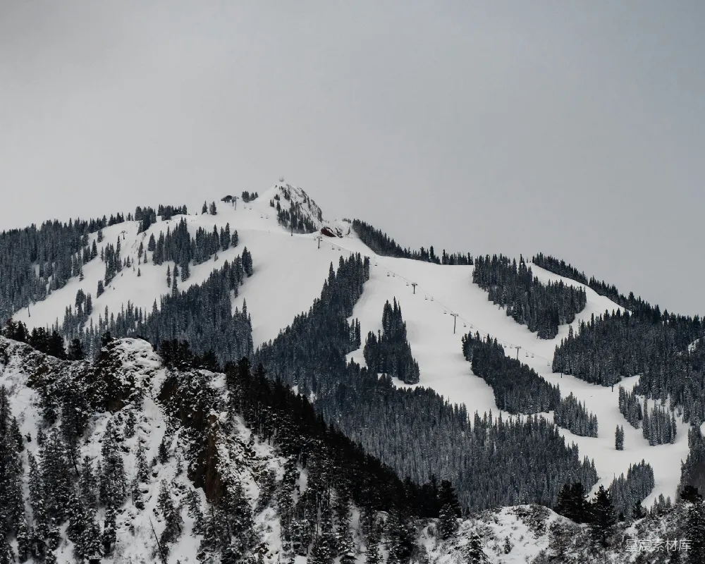 高清摄影  一座雪山上有树木