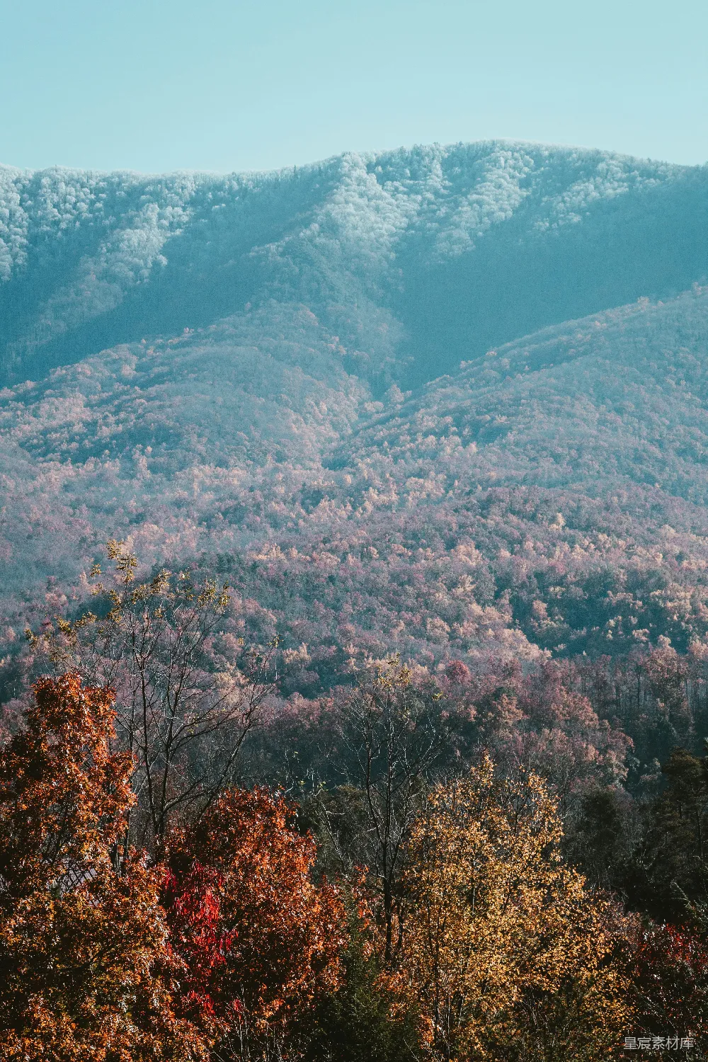 高清摄影  一座山脉的远景，前景中有树木。