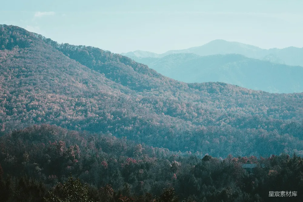 高清摄影  一座山脉的远景，前景中有一排树木。