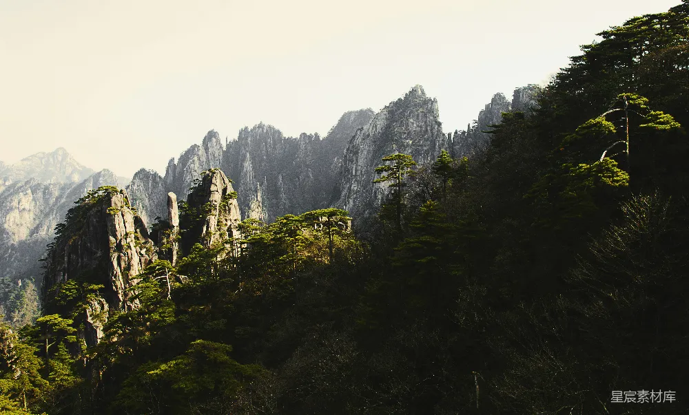 高清摄影  悬崖边的绿树