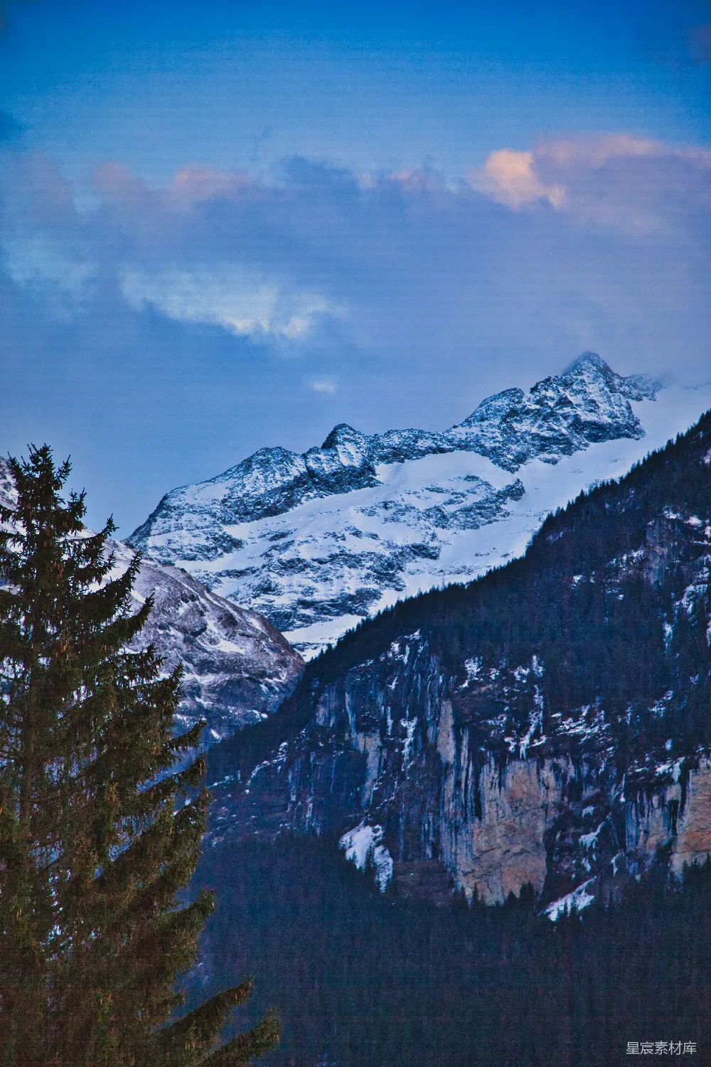 高清摄影  一座覆盖着积雪的山，前景中有树木。