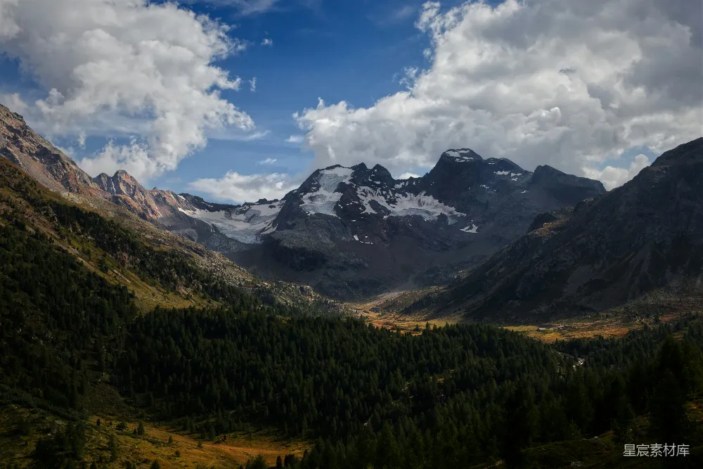 高清摄影  一座山脉的远景，前景中有树木。