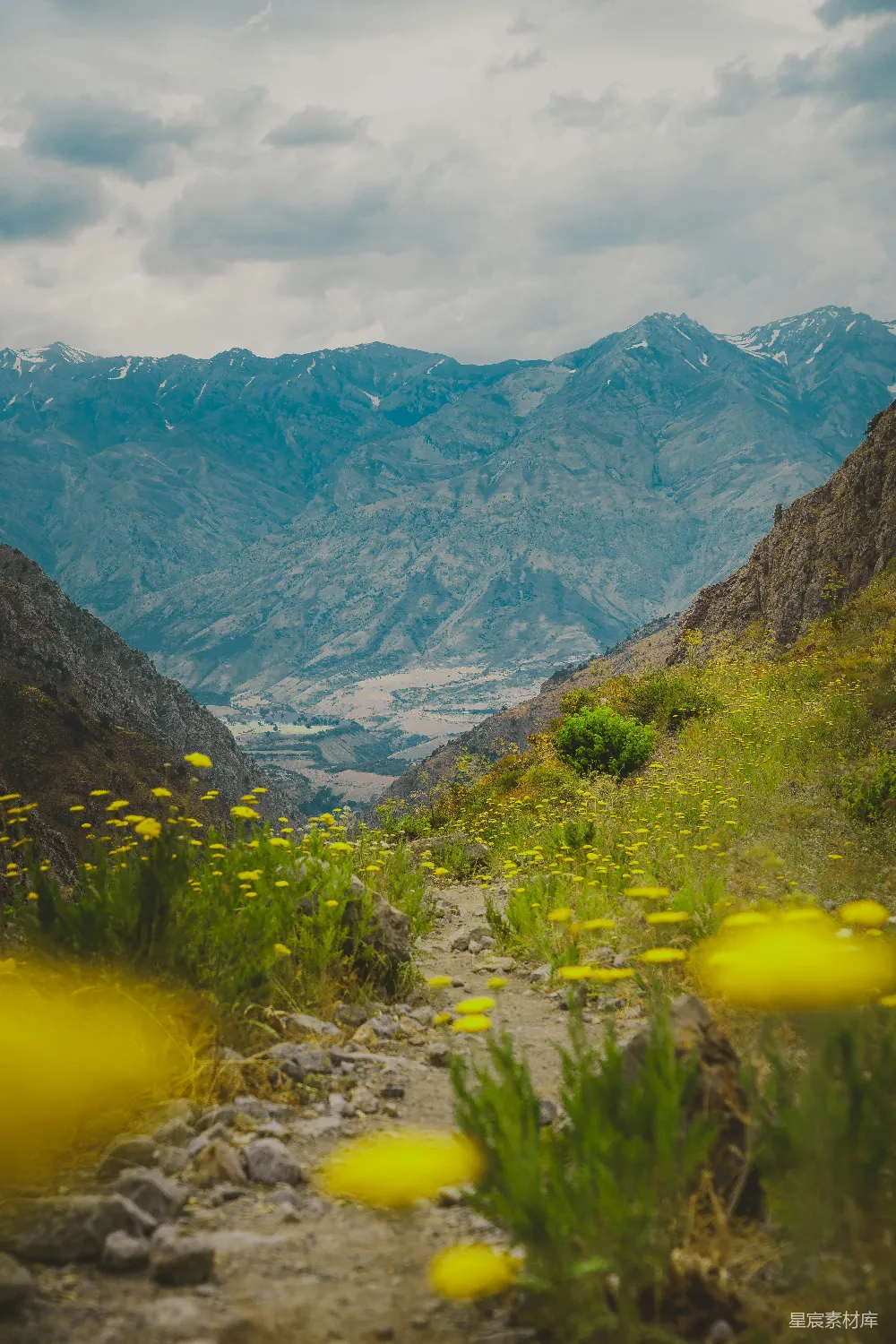 高清摄影  一条泥土小径，两旁开满黄色的花，远处是连绵的山脉。