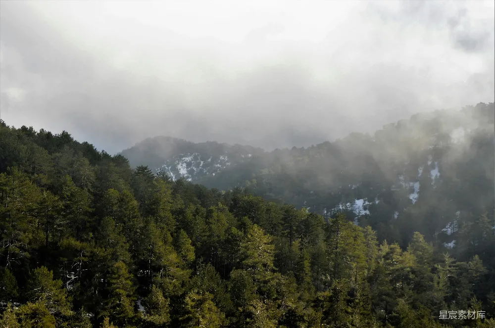 高清摄影  在阴天，被云雾和树木覆盖的山