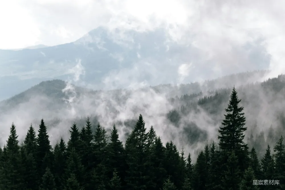 高清摄影  一座山脉的远景，前景中有树木。