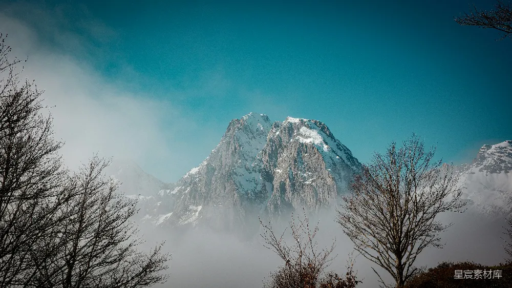 高清摄影  雪山峰顶凌空而起，云海缭绕，光秃秃的树木在其中若隐若现。