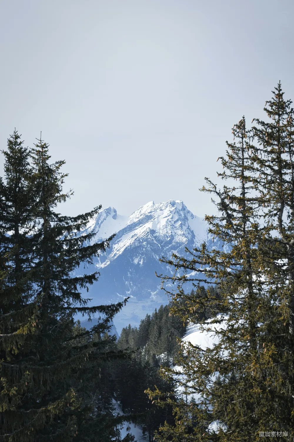 高清摄影 旅行 自然 壁纸 电影 白天，被雪覆盖的山峰旁有绿树。