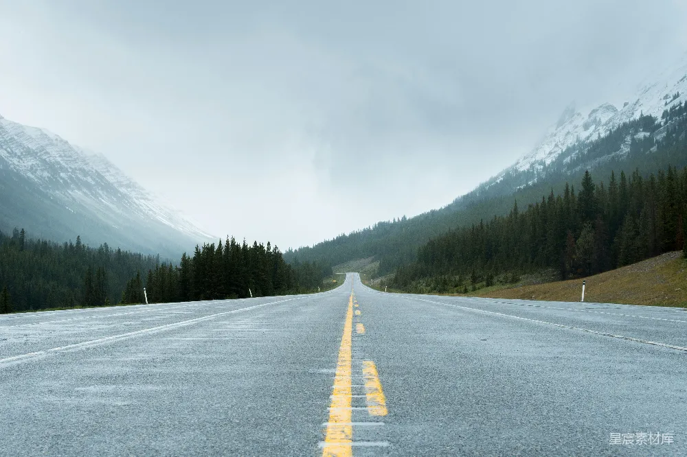 高清摄影  树木附近的道路