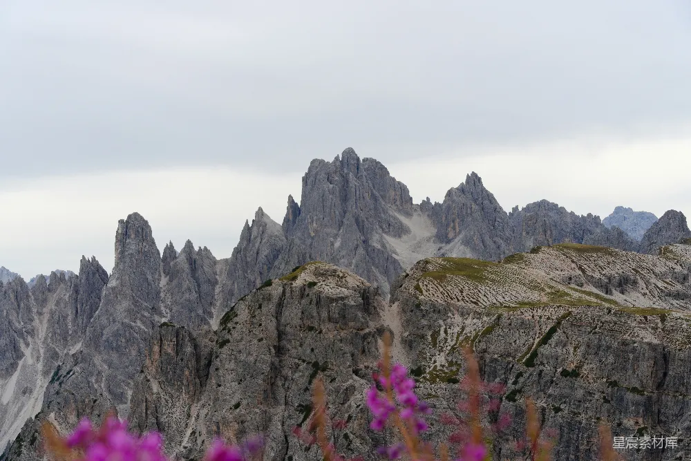 高清摄影 自然 阴云密布的天空下，山峰嶙峋，繁花盛开。