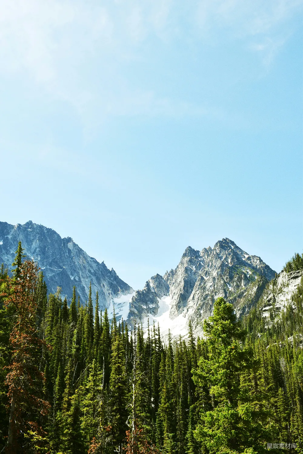 高清摄影 旅行 自然 壁纸 一座山脉的远景，前景中是树木。