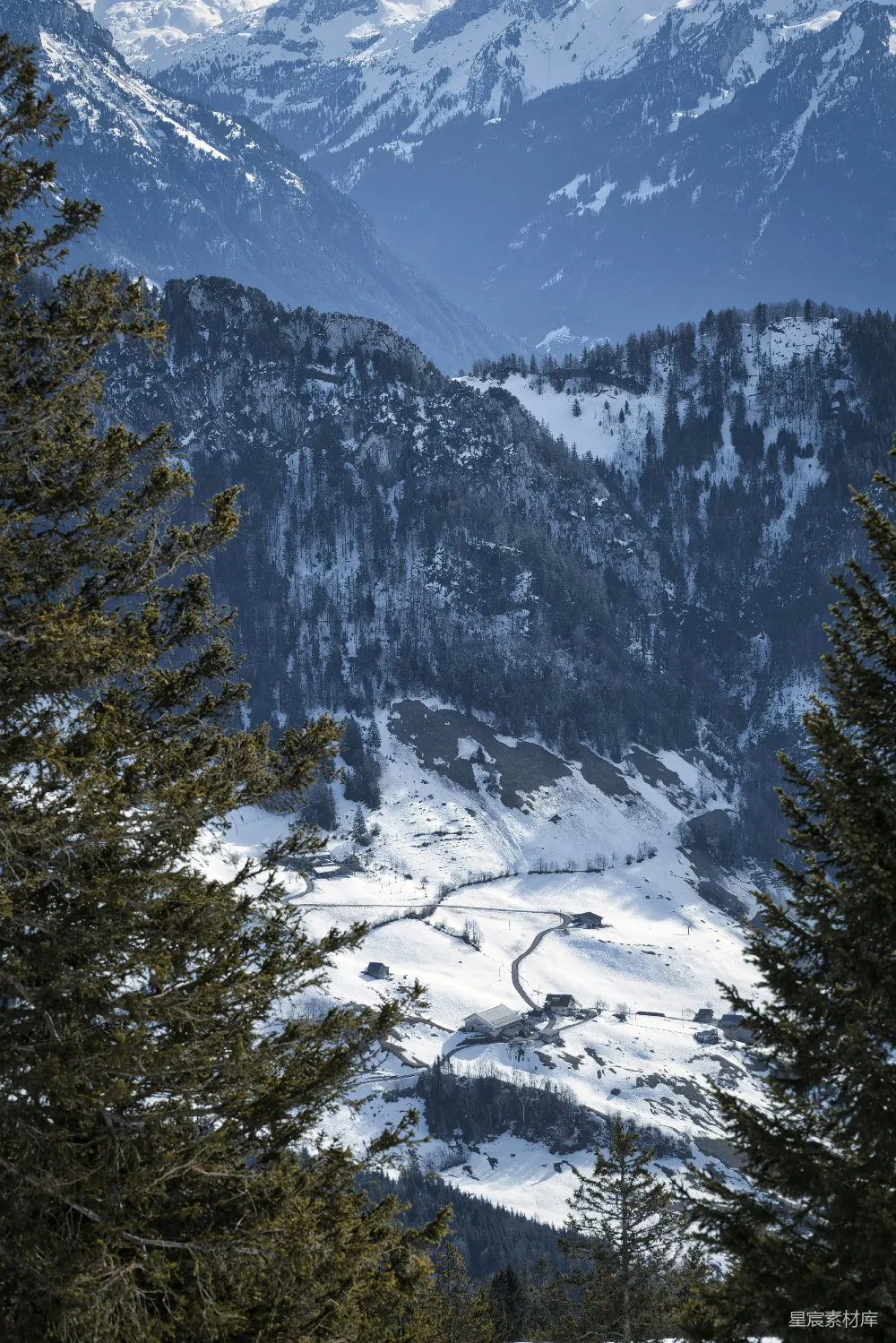 高清摄影 壁纸 电影 白天雪山上绿松树