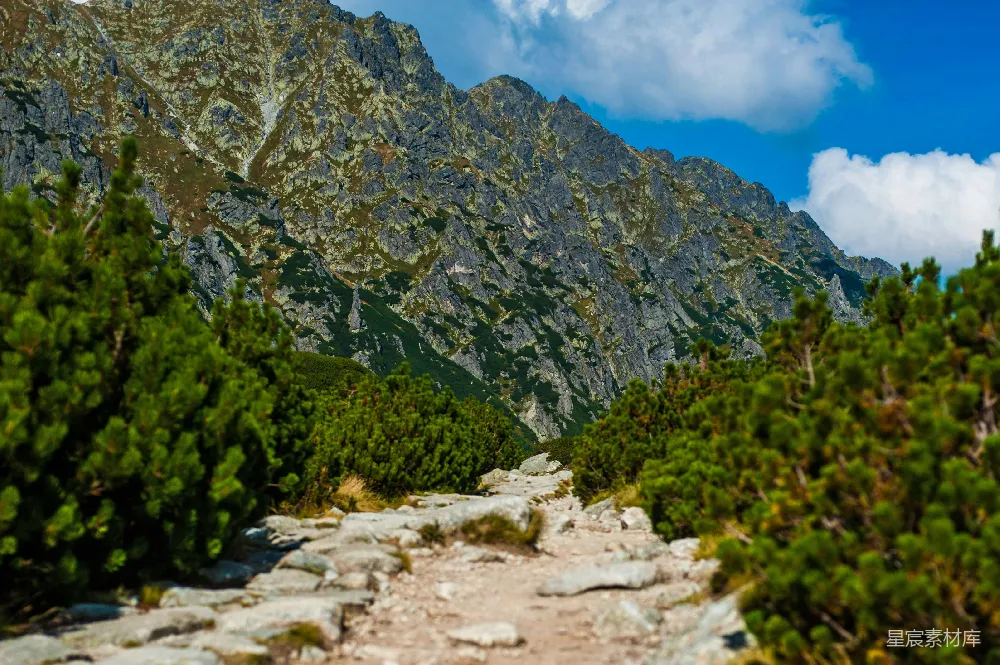 高清摄影  山间的小径，两旁有树木和岩石。