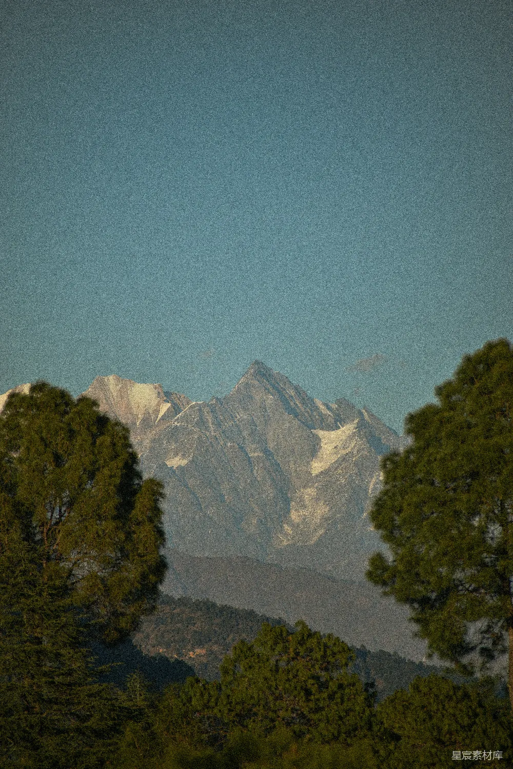 高清摄影  青松下白雪皑皑的山峰