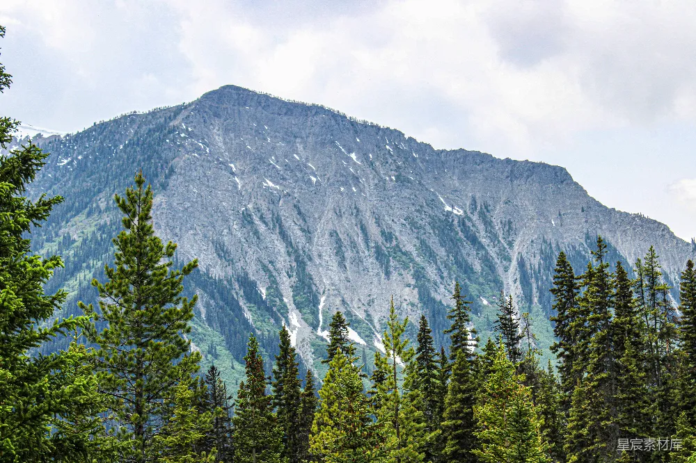 高清摄影  前景是树木的山景。