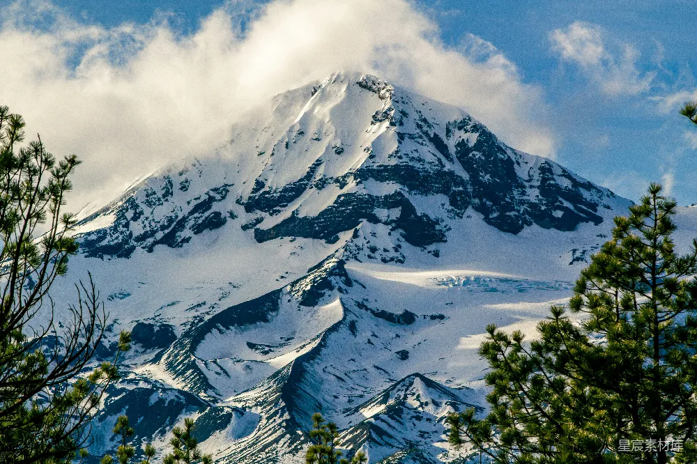 高清摄影  被雪覆盖的山峰被松树包围着