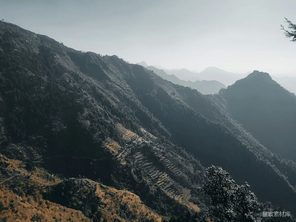 高清摄影  一座山脉的景色，前景中有一棵树。
