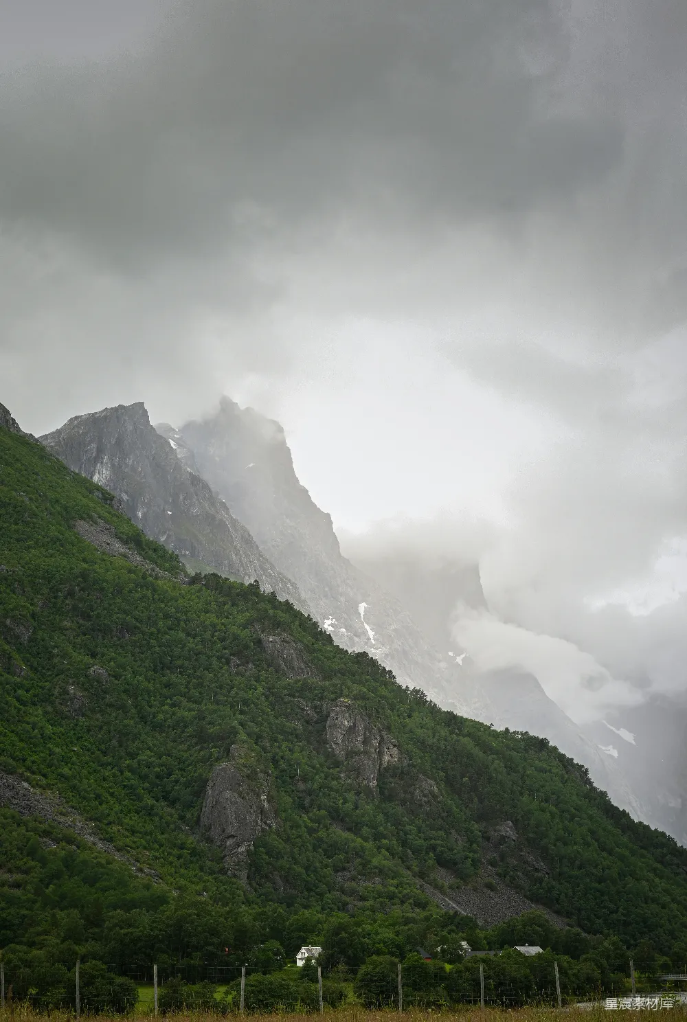 高清摄影  一片草地，背景中有座山。