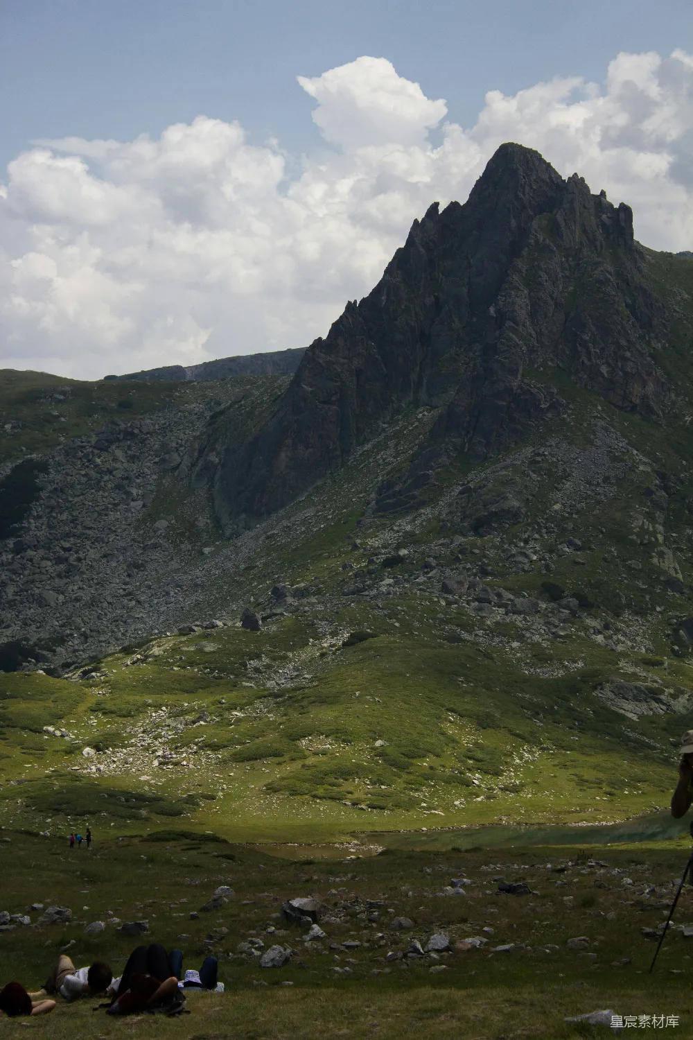 高清摄影  一个男人站在一片郁郁葱葱的山坡上
