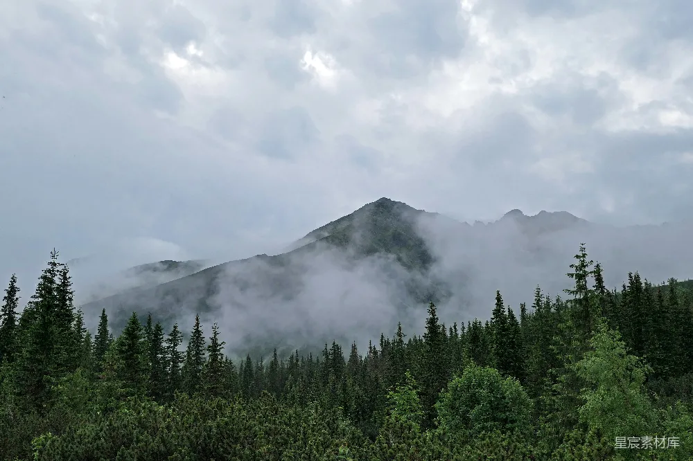 高清摄影  在多云的天气里，一座被云层和树木覆盖的山