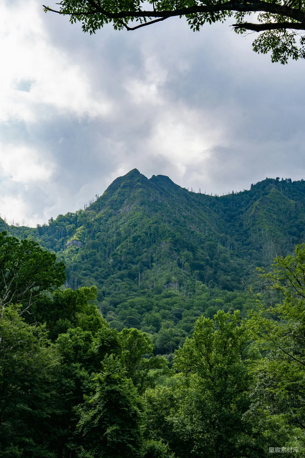 高清摄影  一座山下有树。