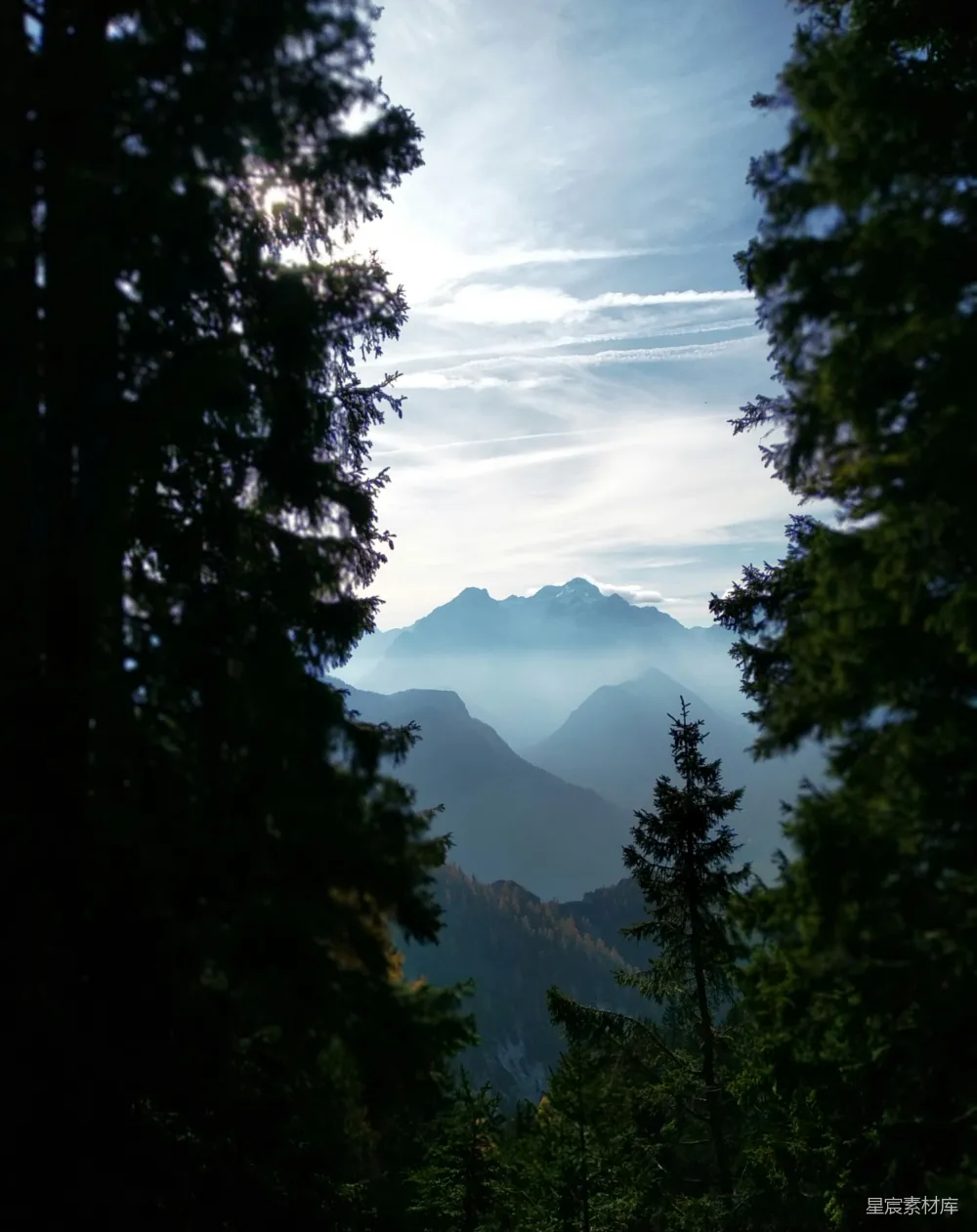 高清摄影  透过树林看山景