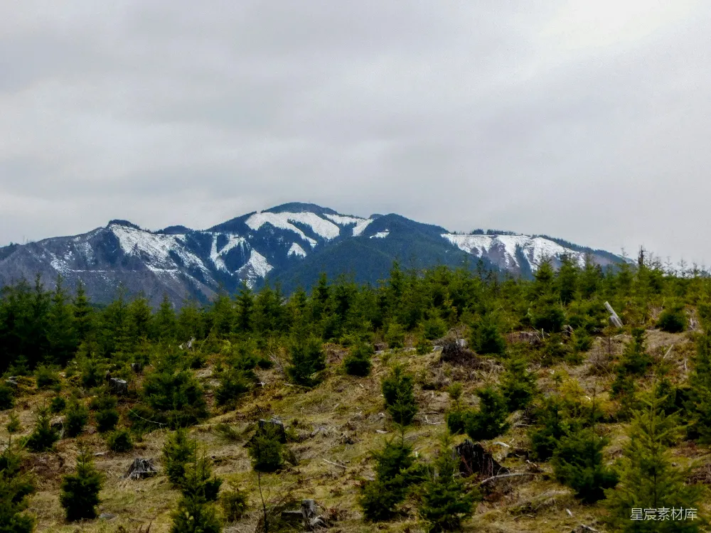 高清摄影  一座被雪覆盖的山，山上覆盖着雪，还有树木。