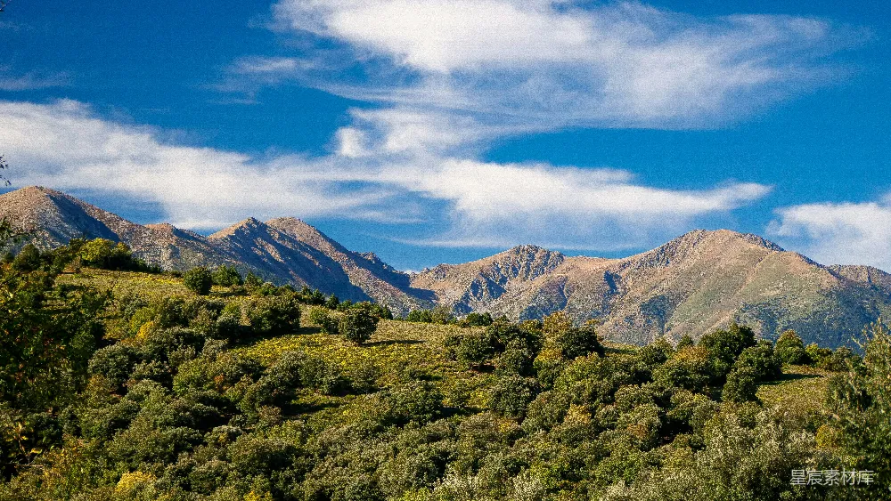 高清摄影  一幅后方有树木和山峦的风景图