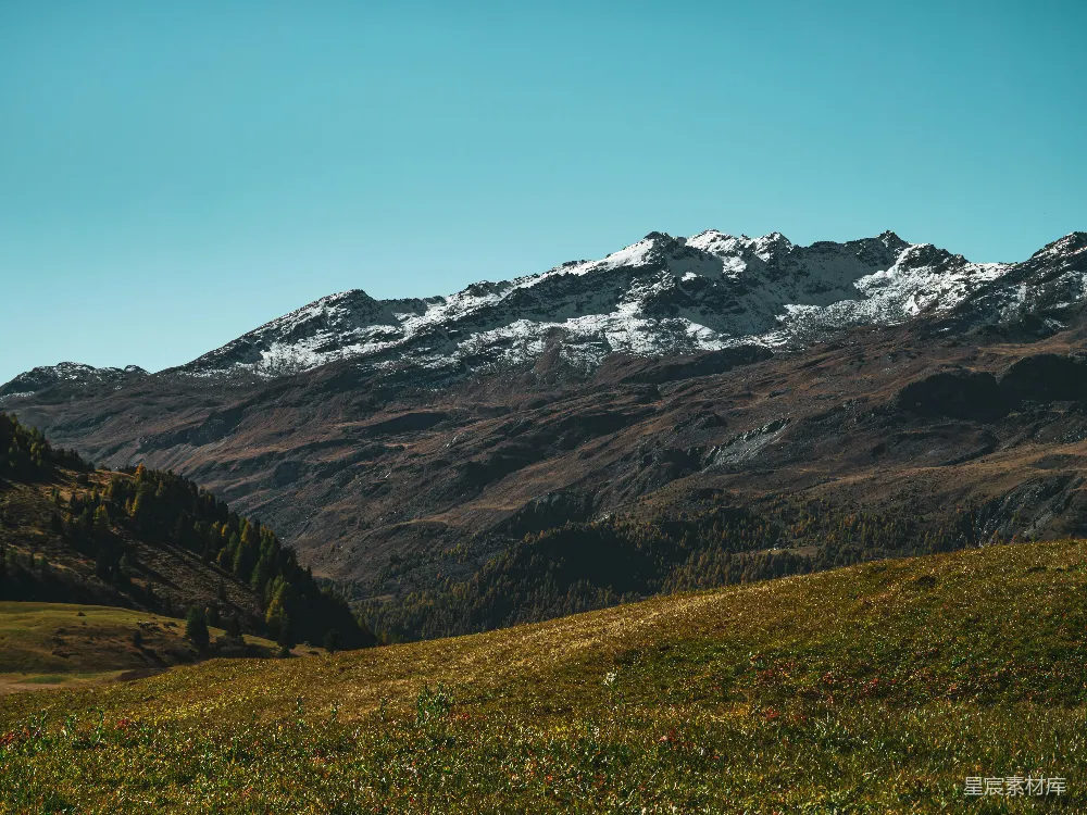 高清摄影  白雪覆盖的山峰高耸在一片草地上方。