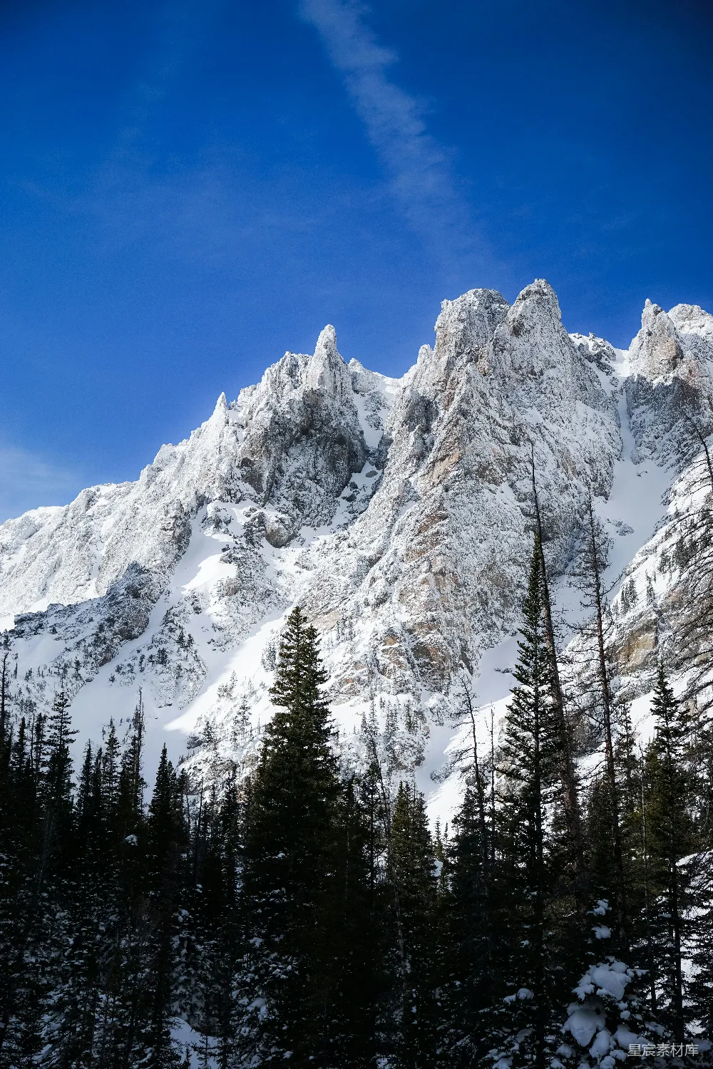 高清摄影  覆盖着雪的山峰，前景中有树木。