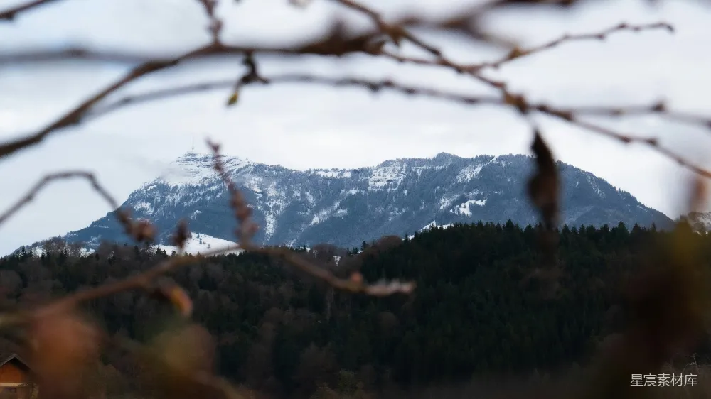 高清摄影  一根树枝，背景是山。