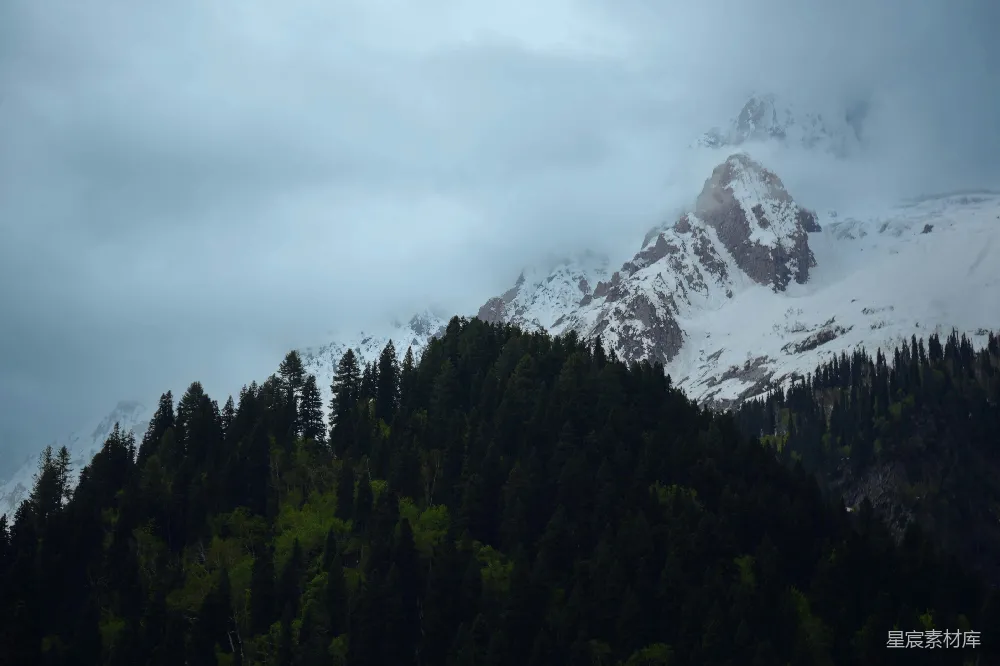 高清摄影  覆盖着积雪和树木的山峰在多云的天空下
