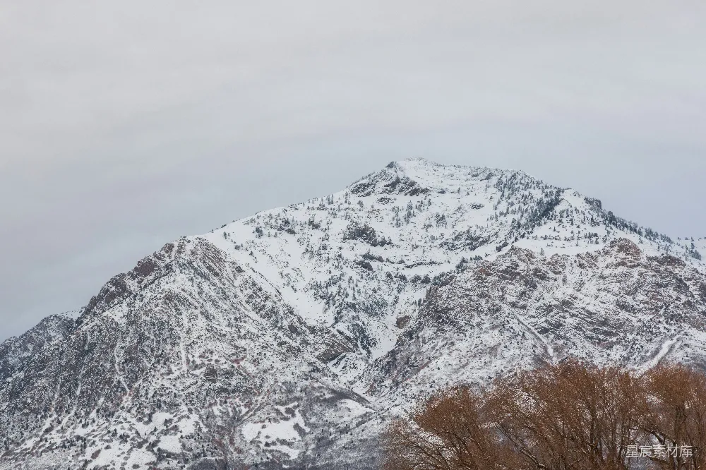 高清摄影 自然 覆盖着雪的山峰，前景中有树木。