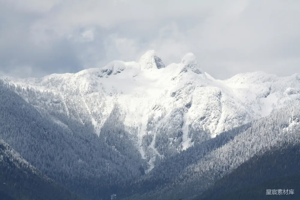 高清摄影  一座覆盖着积雪的山，前景中有树木。