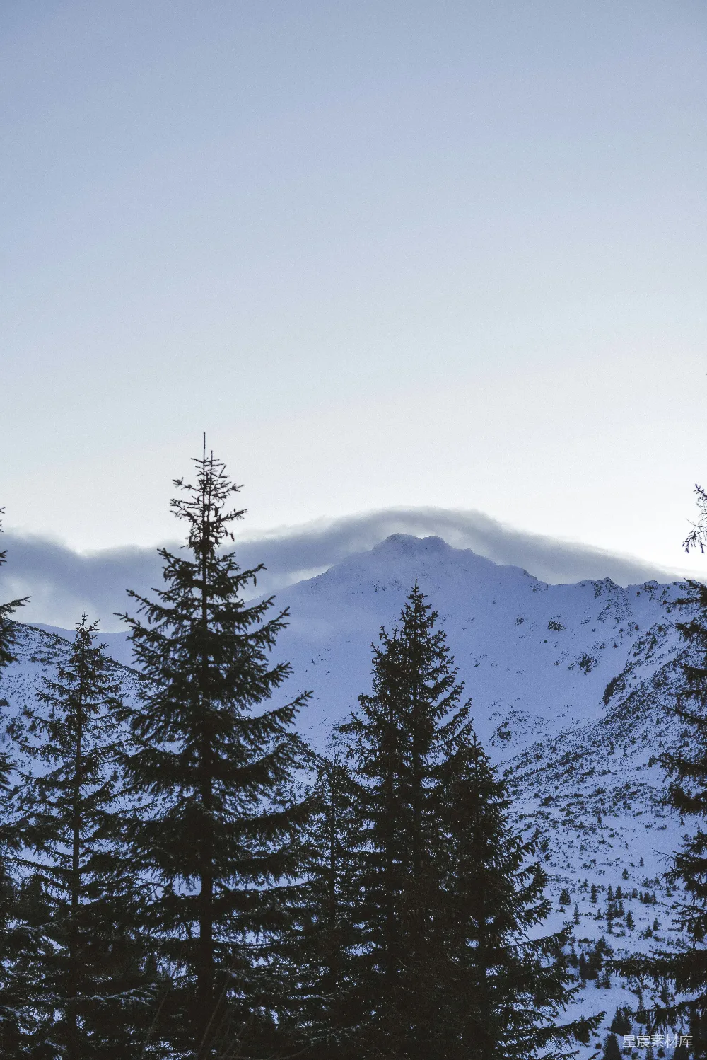 高清摄影  一座雪山的景色，前景中有树木。