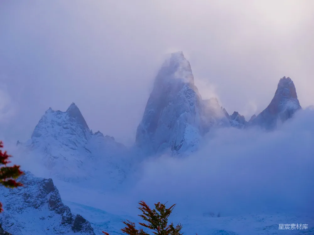 高清摄影  一座被雪覆盖的山，前景中有几棵树。