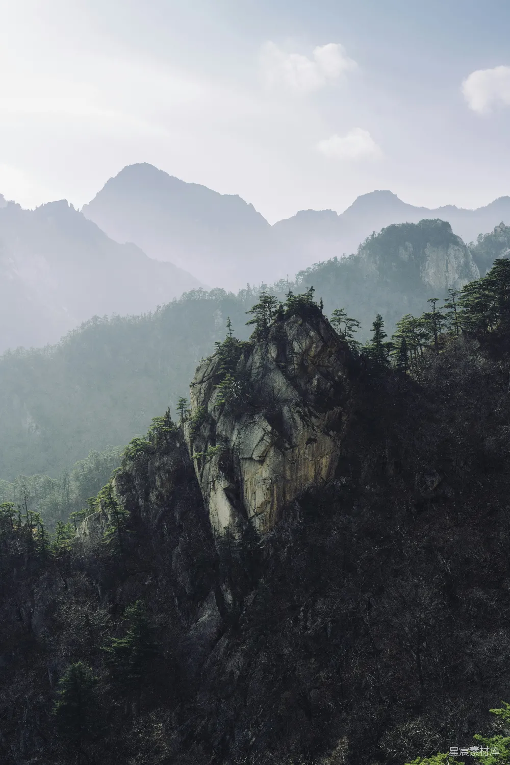 高清摄影  白天山上的绿树