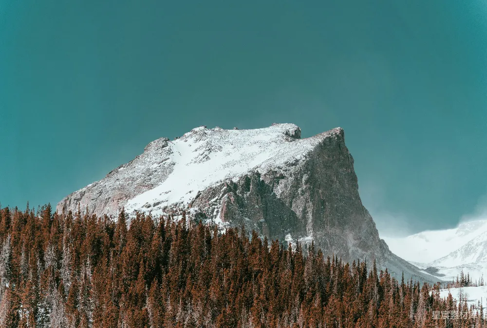 高清摄影  一座雪山上有树木