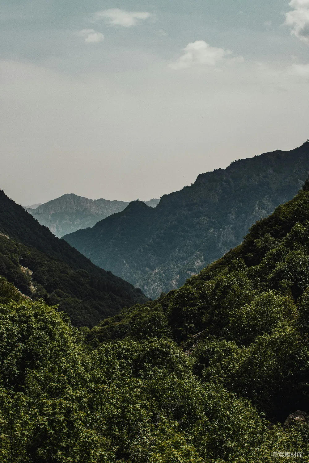 高清摄影 自然 一幅山峦的景色，前景中树木繁茂。