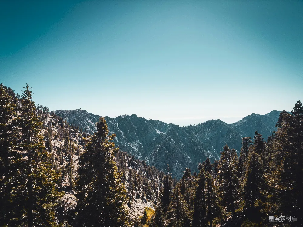 高清摄影  一座山脉的壮丽景色，前景中树木繁茂。