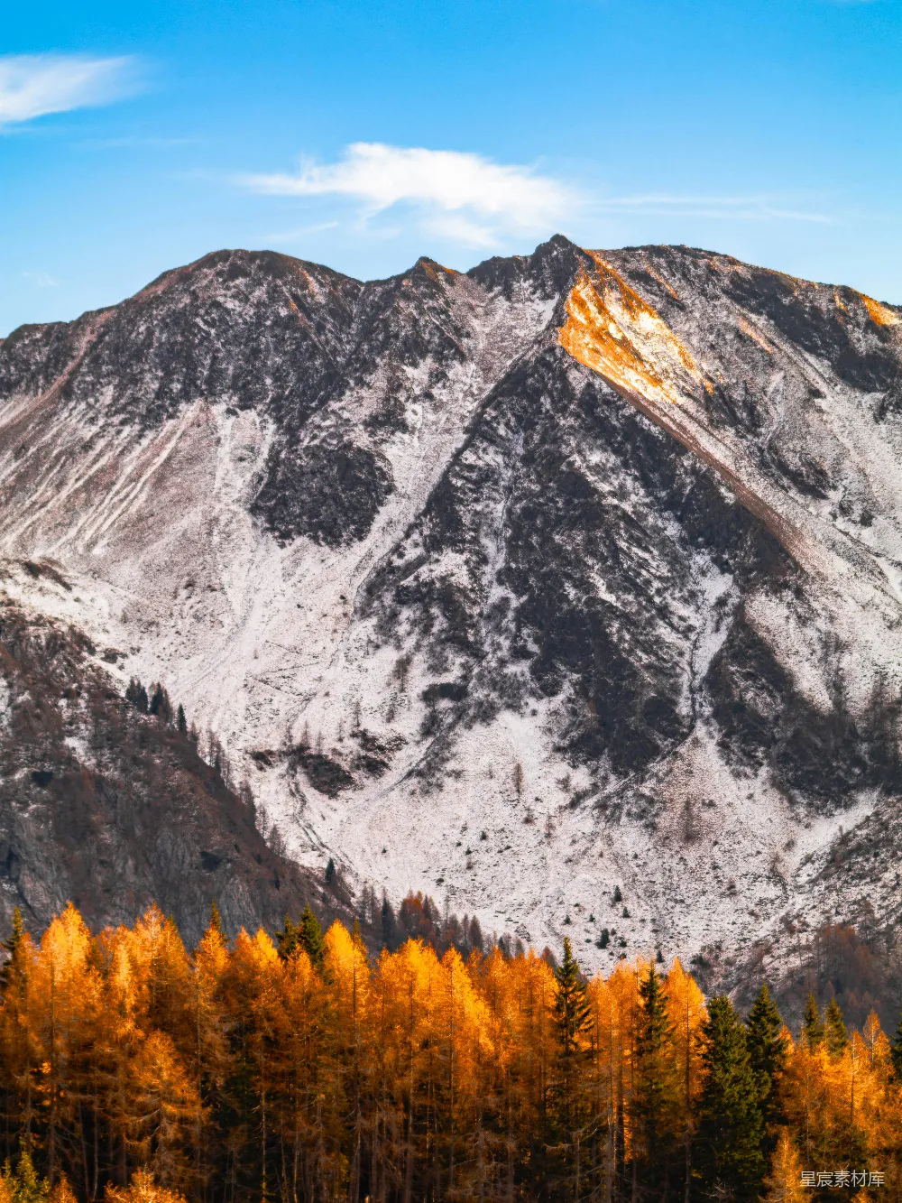 高清摄影  白雪覆盖的山峰，高耸在秋林之上