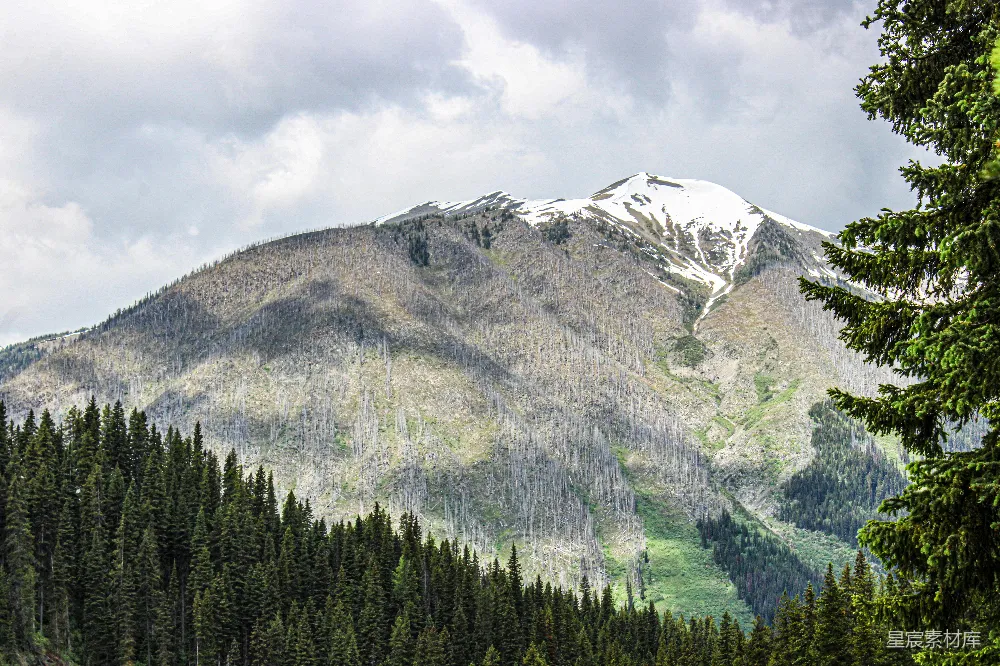 高清摄影  一座山的远景，前景是森林。