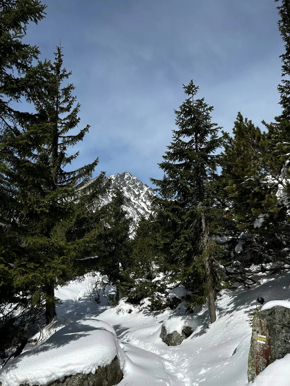 高清摄影  白雪覆盖的山路和常青树。