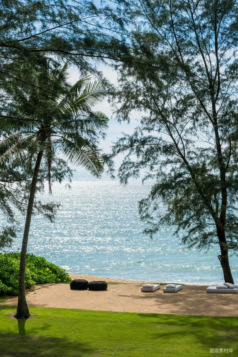 高清摄影  从草地上俯瞰海洋的景色