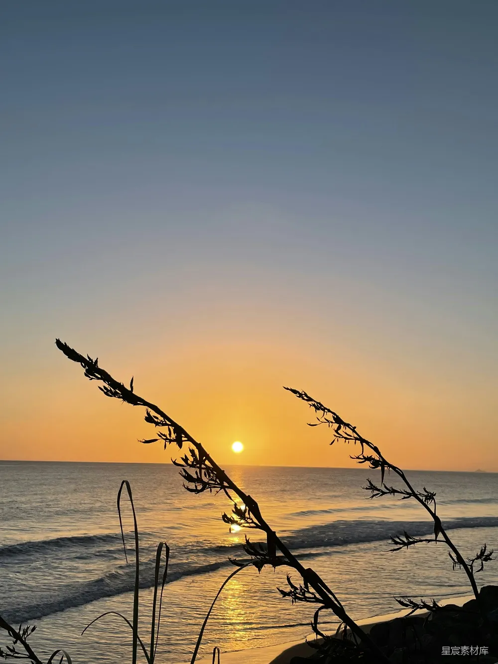 高清摄影 自然 夕阳正挂在海面上，前景中有一根树枝。
