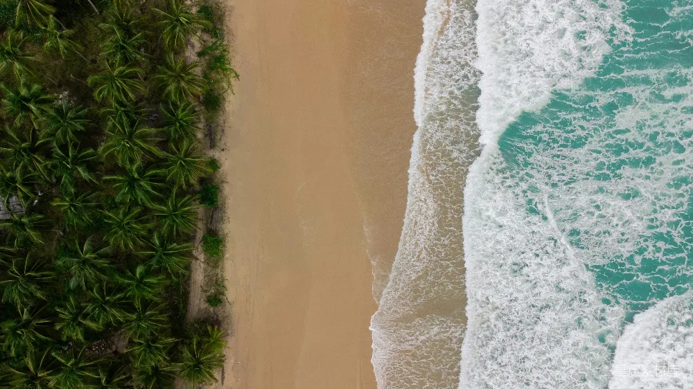 高清摄影  海滩和海洋的俯瞰图