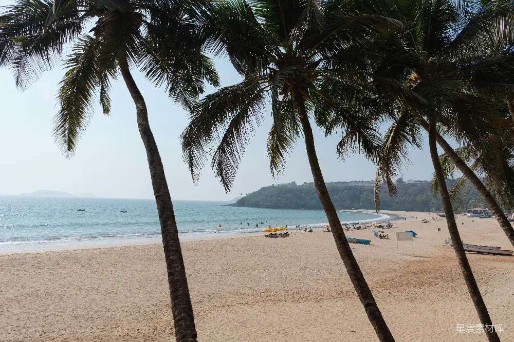 高清摄影  阳光明媚的海滩，棕榈树矗立，俯瞰着大海和海岸线。